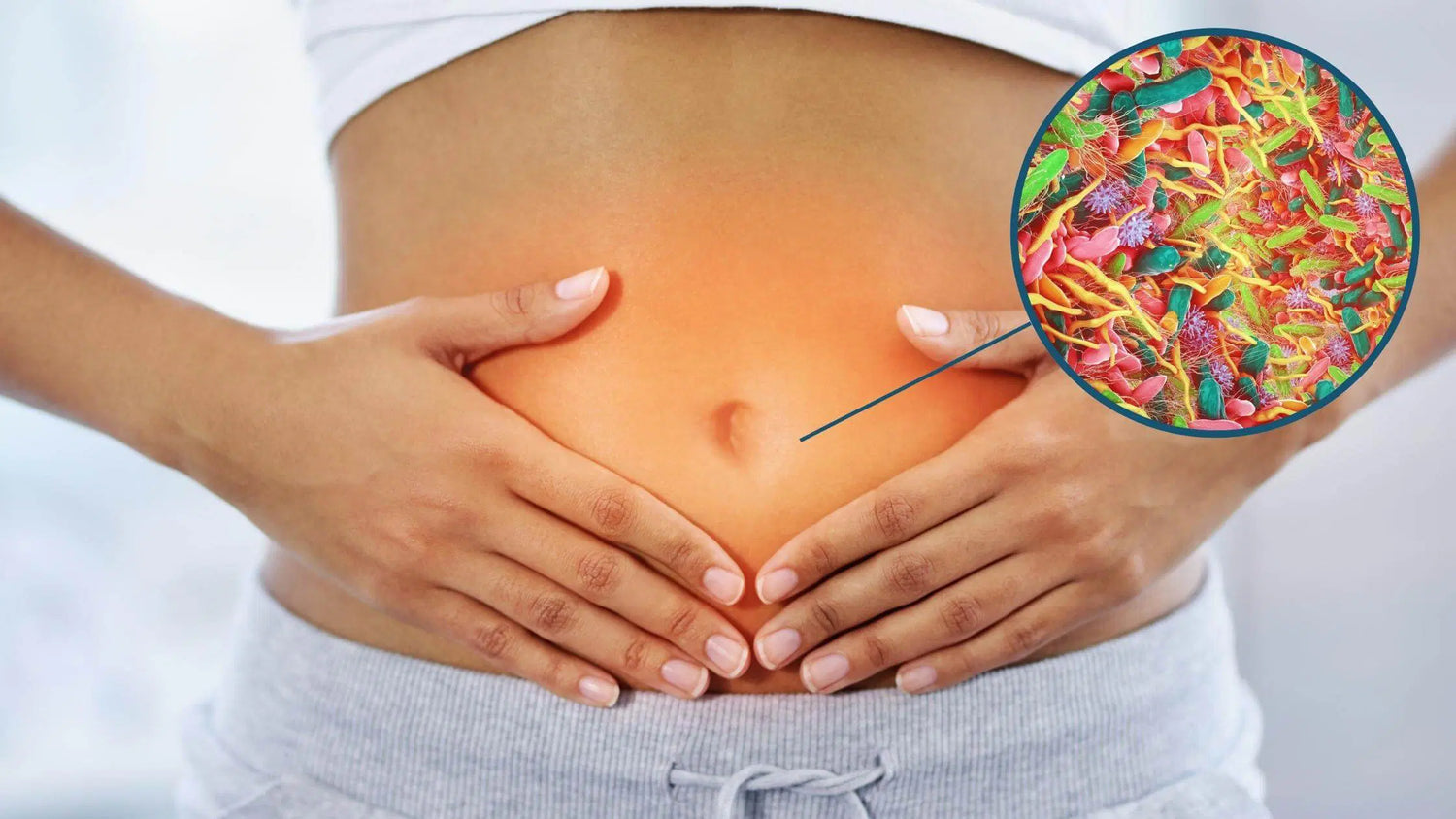 Gut Cleansing From Sugar