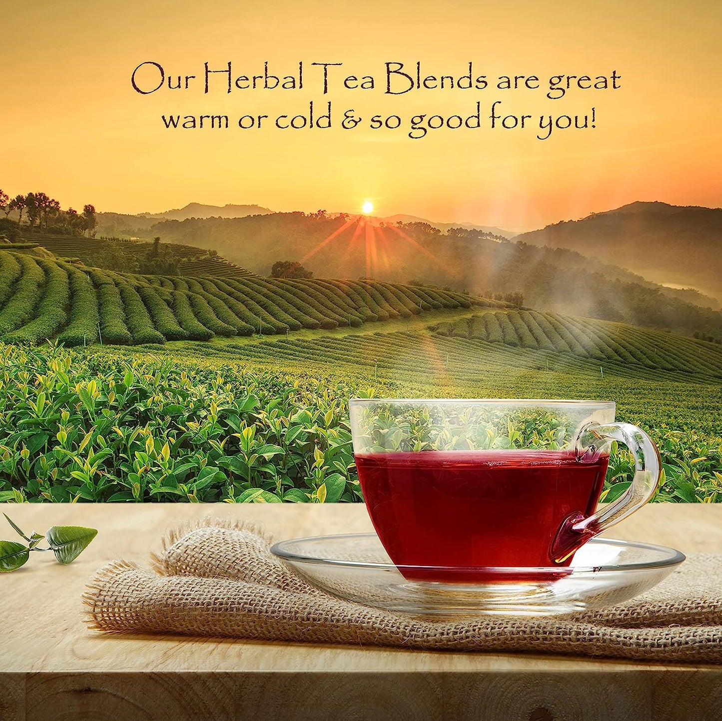 Organic Herbal Loose Leaf Tea, Fruit Blend, Helps with Immune Support, Made with Natural Dried Berries, 3Oz - USA Grown