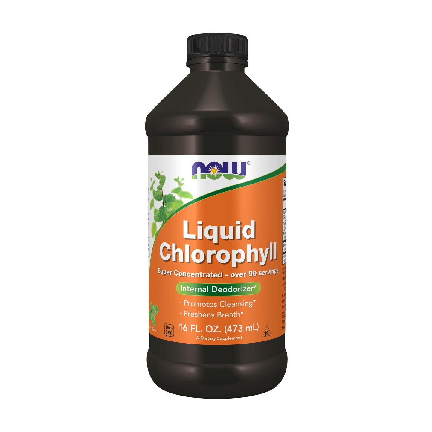 Supplements, Liquid Chlorophyll, Super Concentrated, Internal Deodorizer*, Mint Flavor, 16-Ounce