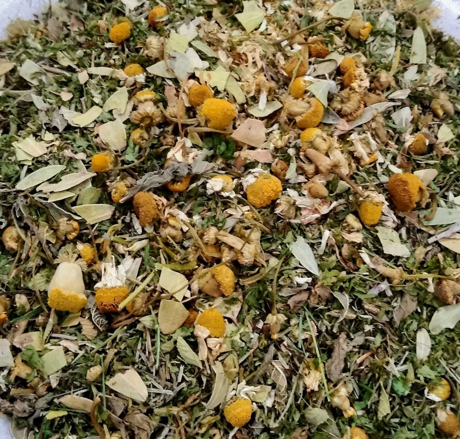 Urinary Tract (UTI) Organic Loose Leaf Herbal Tea Blend All Organic