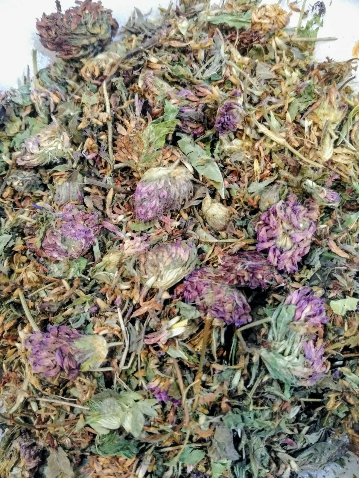 Red Clover Whole Dried Tops 1Oz, Organic