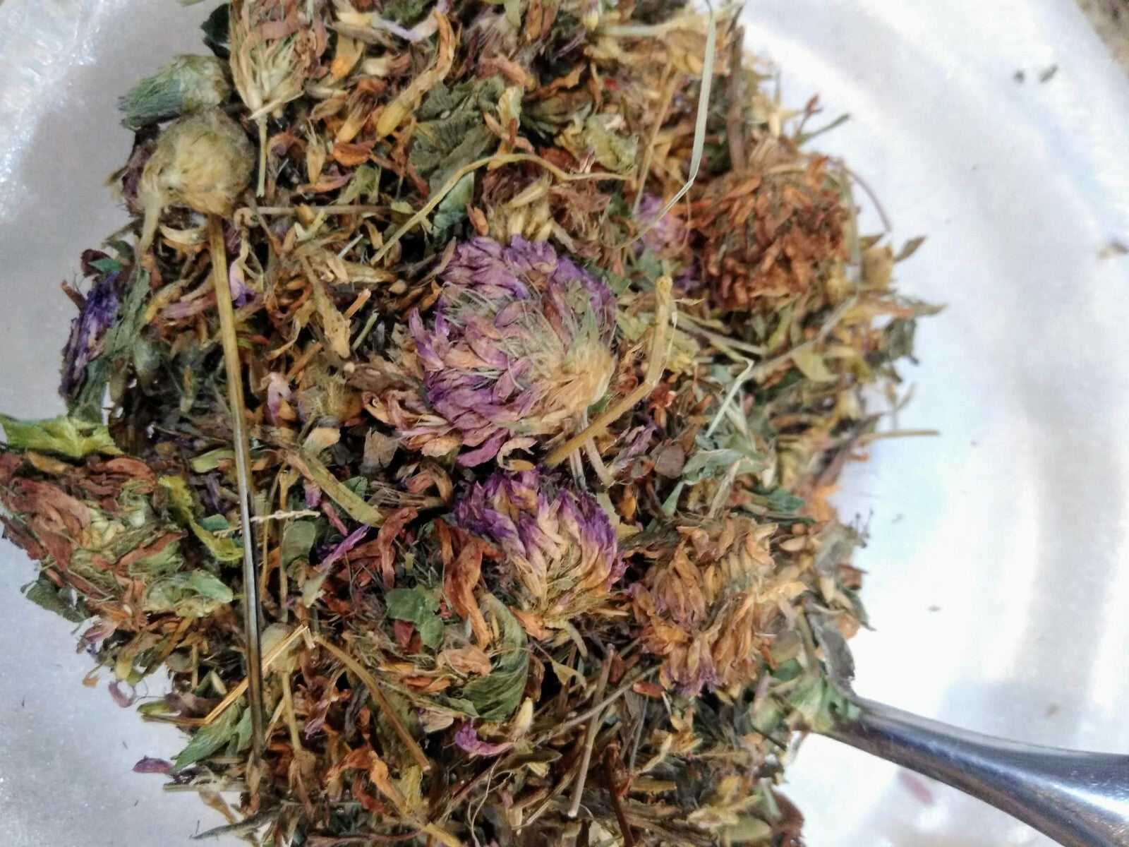 Red Clover Whole Dried Tops 1Oz, Organic