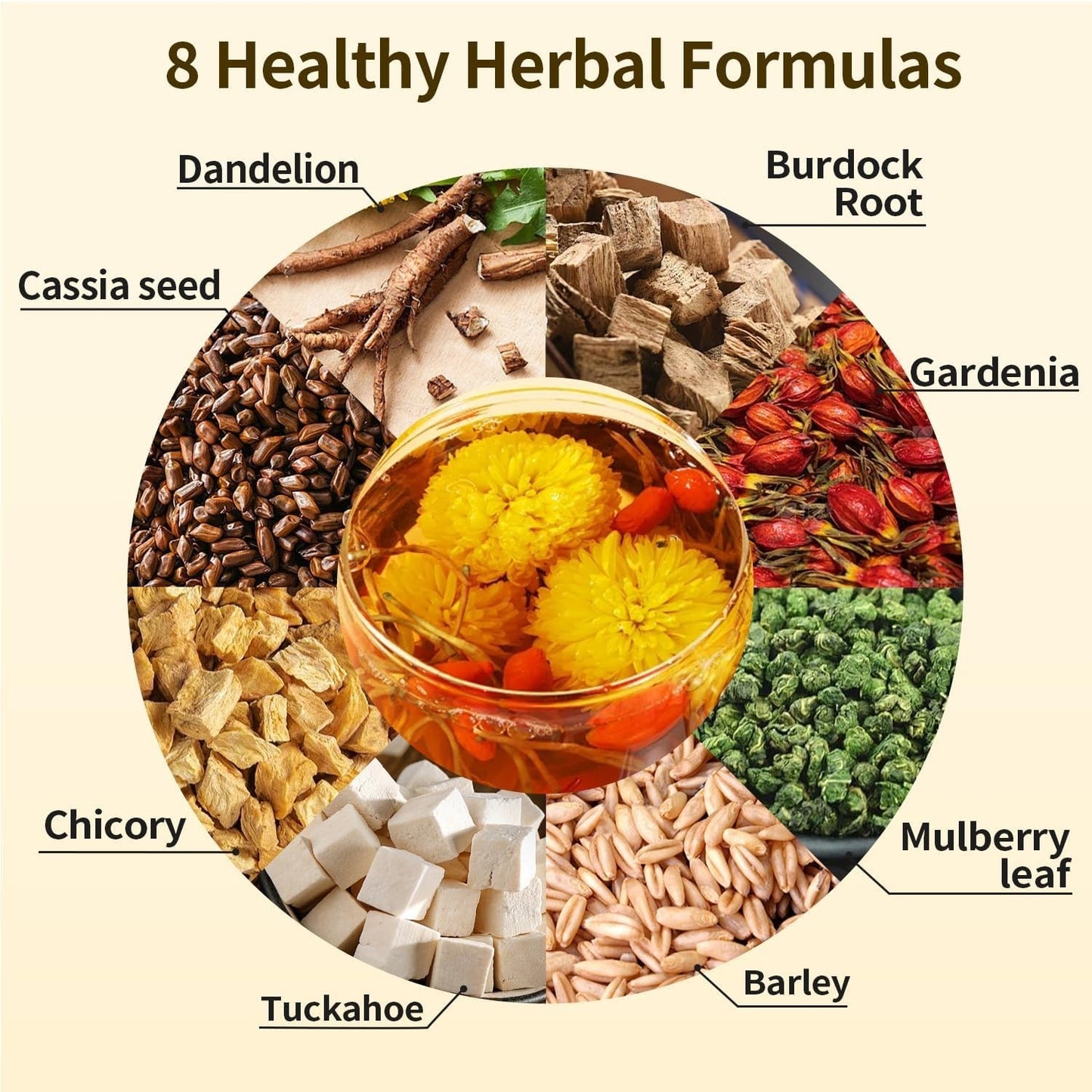 Chicory and Gardenia Tea Bags Kidney and Liver Tea Chicory Root C...