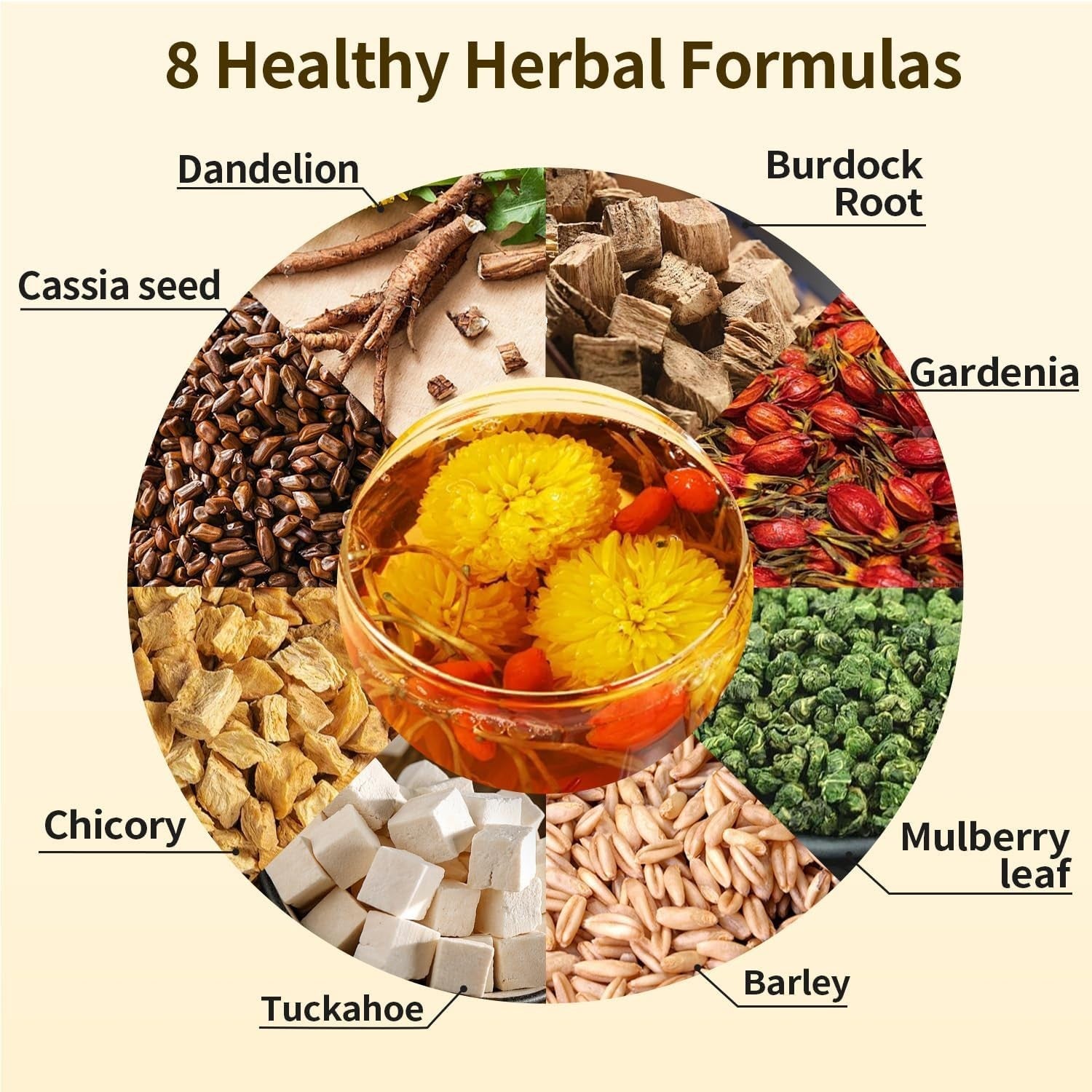 Chicory and Gardenia Tea Bags Kidney and Liver Tea Chicory Root C...