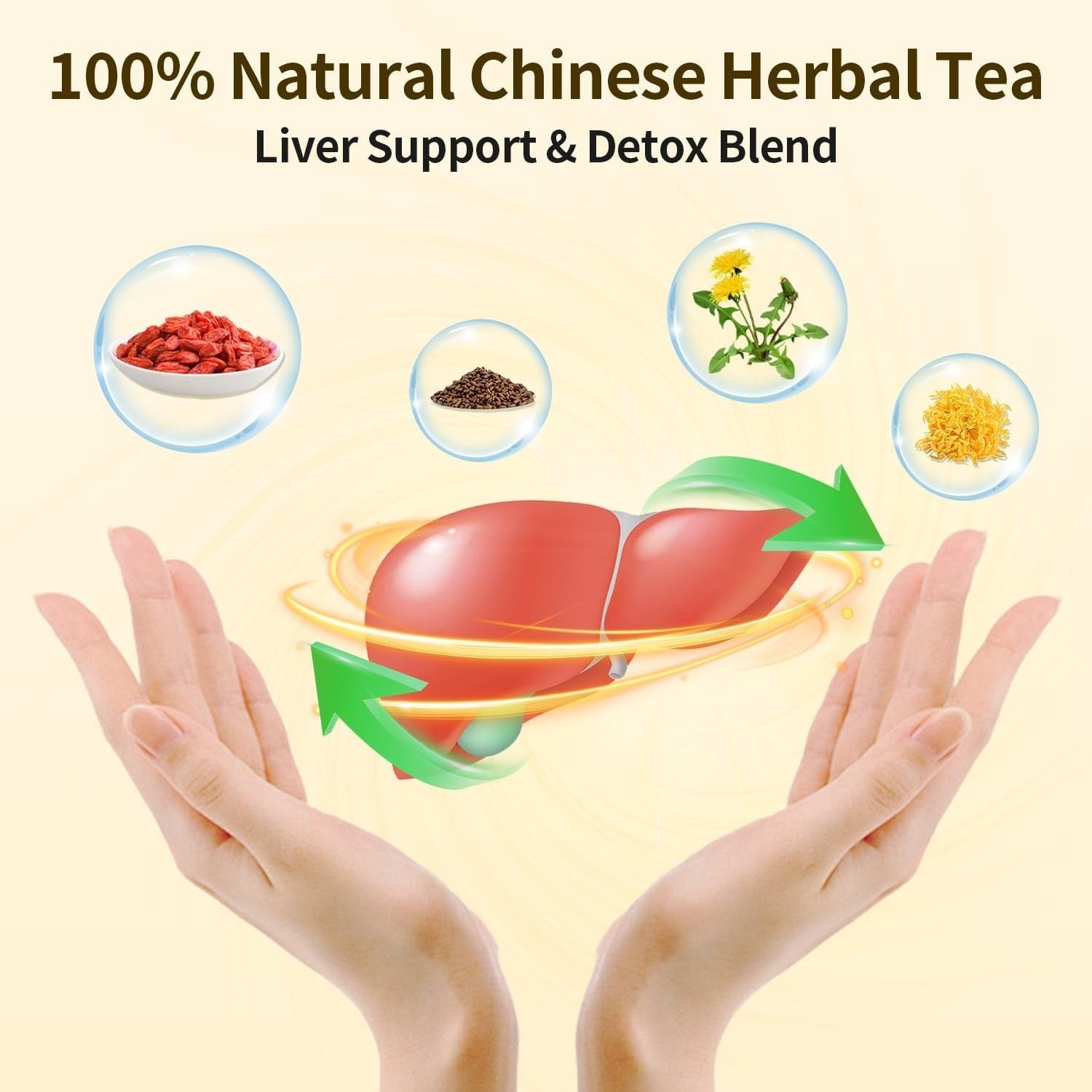 Chicory and Gardenia Tea Bags Kidney and Liver Tea Chicory Root C...
